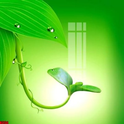 File in mica File tranh decor tranh bộ treo tường tổng hợp H3734 (ảnh gốc) đẹp