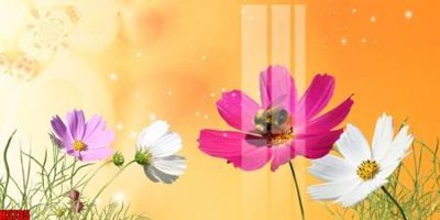 File in lụa File tranh decor tranh bộ treo tường tổng hợp H3735 (chất lượng cao) File tranh decor tranh bộ treo tường tổng hợp H3735