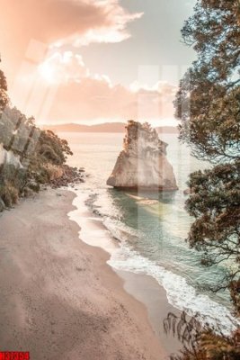 File tranh File tranh gốc in tranh tường nền tổng hợp H37354 (gốc) in film