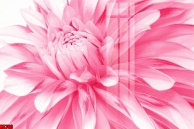 File tranh File tranh decor tranh bộ treo tường tổng hợp H3740 (gốc) chủ đề tĩnh vật