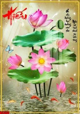 File ảnh File tranh gốc in tranh tường nền tổng hợp H37630 (gốc) in quảng cáo ngoài trời