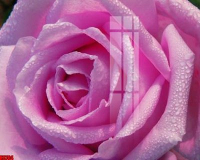 File tranh File tranh decor tranh bộ treo tường tổng hợp H3764 (ảnh gốc) sắc nét hoàn hảo