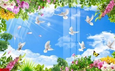 File in trần File tranh gốc in tranh tường nền tổng hợp H37673 (bản gốc) bầu trời