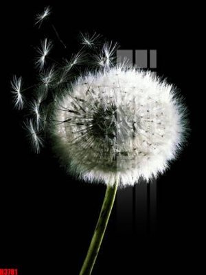 File tranh File tranh decor tranh bộ treo tường tổng hợp H3781 (gốc) phong cách tối giản