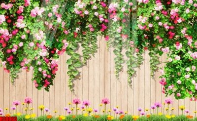 File ảnh File tranh gốc in tranh tường nền tổng hợp H38063 (gốc) in backdrop sự kiện