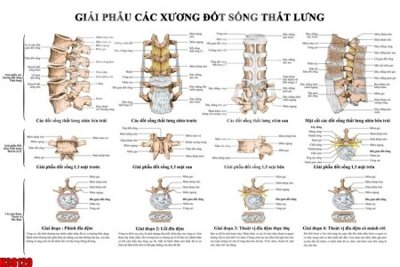 Tải file tranh File tranh gốc in tranh tường nền tổng hợp H38120 (gốc) tại Filetranh.com