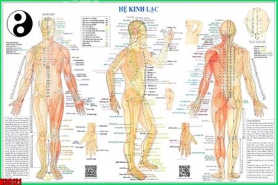 File tranh gốc File tranh gốc in tranh tường nền tổng hợp H38121 (bản quyền) độc đáo