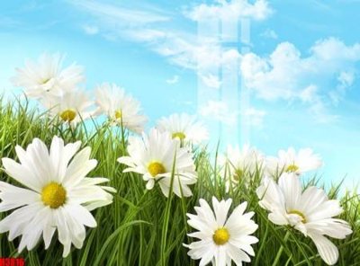 Tải file File tranh decor tranh bộ treo tường tổng hợp H3816 (gốc) chủ đề tâm linh