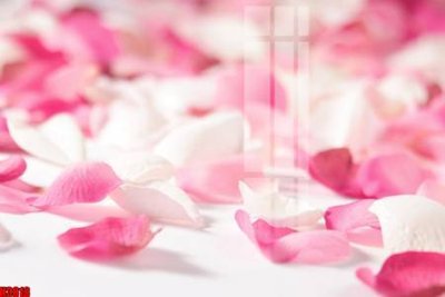 File in lụa File tranh decor tranh bộ treo tường tổng hợp H3818 (hoa văn) File tranh decor tranh bộ treo tường tổng hợp H3818