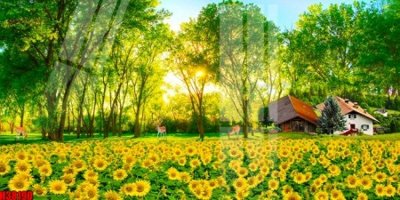 File gốc File tranh gốc in tranh tường nền tổng hợp H38190 (cho in UV) siêu nét