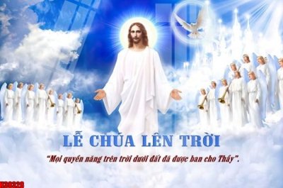 File tranh ảnh gốc File tranh gốc in tranh tường nền tổng hợp H38328 dùng cho in khổ lớn