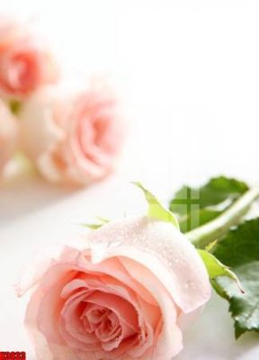 File in ấn cao cấp File tranh decor tranh bộ treo tường tổng hợp H3833 (file gốc)