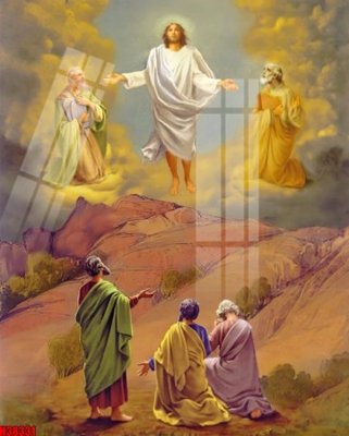 File ảnh File tranh gốc in tranh tường nền tổng hợp H38331 (gốc) trang trí khách sạn