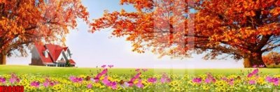 File in trần File tranh gốc in tranh tường nền tổng hợp H38493 (file gốc) xuyên sáng