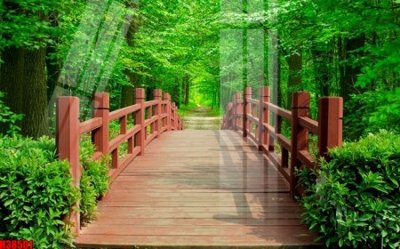 File gốc File tranh gốc in tranh tường nền tổng hợp H38501 (ảnh chi tiết) để in lụa