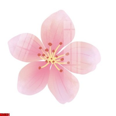 File ảnh File tranh gốc in tranh tường nền tổng hợp H38531 (gốc) in decal dán tường