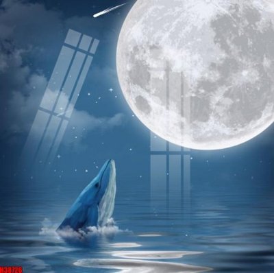 File tranh File tranh gốc in tranh tường nền tổng hợp H38726 (gốc) in film