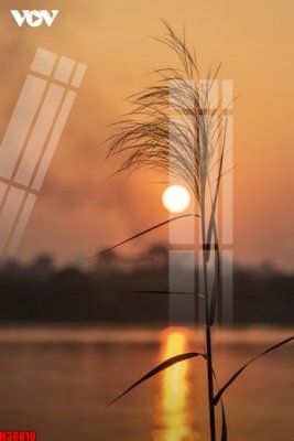 Tải file File tranh gốc in tranh tường nền tổng hợp H38810 (ảnh gốc) 300dpi File tranh gốc in tranh tường nền tổng hợp H38810