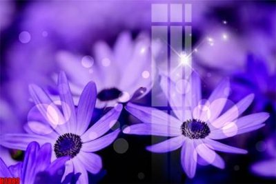 File ảnh File tranh decor tranh bộ treo tường tổng hợp H3889 (gốc) cho trang trí nội thất