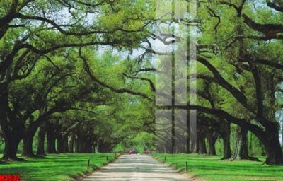 File tranh quảng cáo File tranh decor tranh bộ treo tường tổng hợp H3932 (download file gốc)