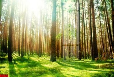 File ảnh gốc File tranh decor tranh bộ treo tường tổng hợp H3933 không vỡ nét