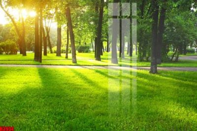 File in trần File tranh decor tranh bộ treo tường tổng hợp H3934 (file gốc) xuyên sáng