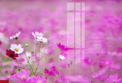 File tranh File tranh decor tranh bộ treo tường tổng hợp H3950 (gốc) in backlit film