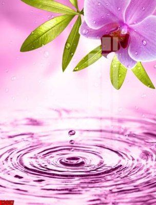 Download file File tranh decor tranh bộ treo tường tổng hợp H3957 (gốc) in mica đèn LED