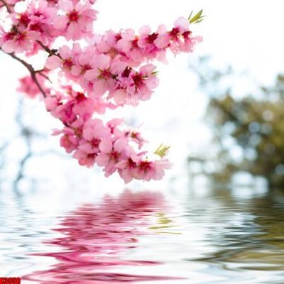 Ảnh gốc file in lụa File tranh decor tranh bộ treo tường tổng hợp H3958 chi tiết