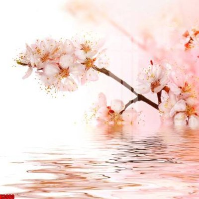 File tranh File tranh decor tranh bộ treo tường tổng hợp H3960 (gốc) chủ đề trẻ em