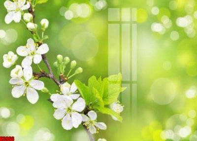 Tải file gốc File tranh decor tranh bộ treo tường tổng hợp H3966 (in tráng gương) siêu đẹpFile tranh gốc File tranh decor tranh bộ treo tường tổng hợp H3966 chất lượng cao