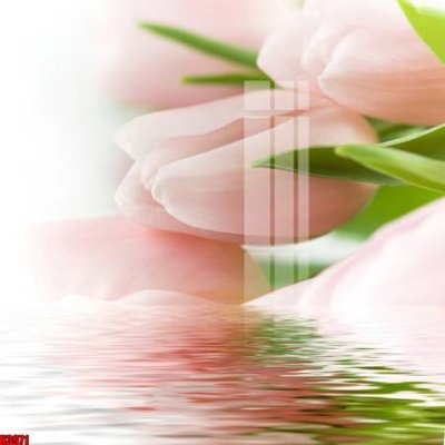 File in ấn File tranh decor tranh bộ treo tường tổng hợp H3971 (bản gốc) cao cấp