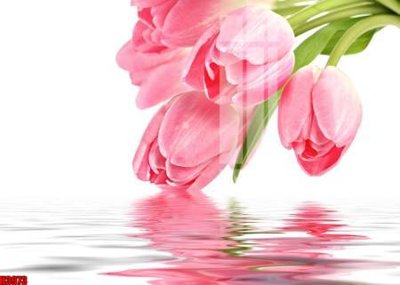 File gốc File tranh decor tranh bộ treo tường tổng hợp H3973 (trang trí) cho phòng khách