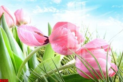 Tải file gốc File tranh decor tranh bộ treo tường tổng hợp H3974 (in khổ lớn) quảng cáo