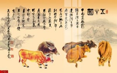 Tải file File tranh decor tranh bộ treo tường tổng hợp H4225 (ảnh gốc) in tráng gương