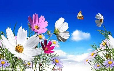 Tải file gốc file tranh hoa H51 (để in lụa)