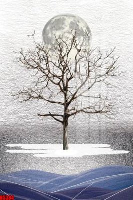 Ảnh gốc File tranh decor tranh bộ treo tường tổng hợp H5384 (nét căng) in mica