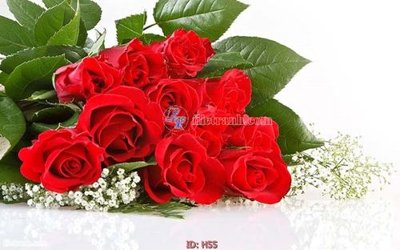 File tranh quảng cáo file tranh hoa H55 (download file gốc)