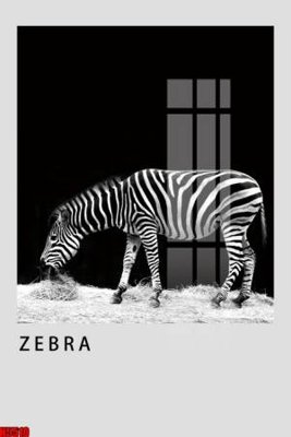 File gốc File tranh decor tranh bộ treo tường tổng hợp H5510 (PNG) trong suốt (transparent)