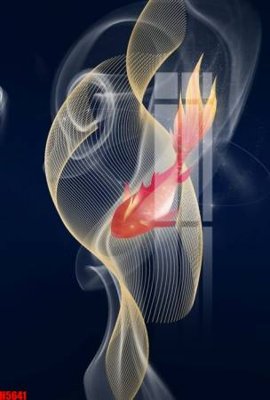 File in trần File tranh decor tranh bộ treo tường tổng hợp H5641 (bản gốc) 5D