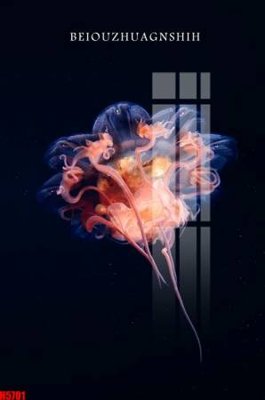 File tranh trang trí File tranh decor tranh bộ treo tường tổng hợp H5701 (tải file gốc)