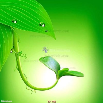 Tải file gốc in lụa file tranh hoa H58 siêu nét