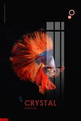 File gốc File tranh decor tranh bộ treo tường tổng hợp H5801 (PNG) nền trong suốt