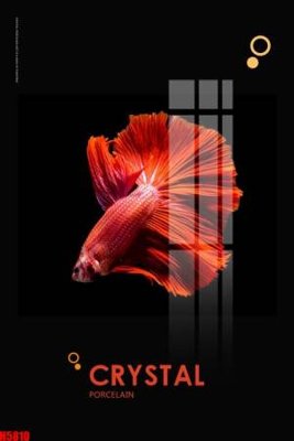 Tải file gốc File tranh decor tranh bộ treo tường tổng hợp H5810 (bản PSD) còn layer