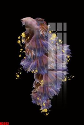 File in ấn chuyên nghiệp File tranh decor tranh bộ treo tường tổng hợp H5892 (file gốc)