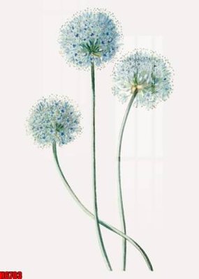 File gốc file tranh tổng hợp H6703 (cho in 3D) độc đáo