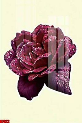 File in mica file tranh tổng hợp H7022 (bản gốc) siêu trong