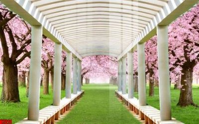 Tải file File tranh gốc in tranh tường nền tổng hợp H7211 (gốc) chủ đề hoa sen