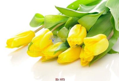 File gốc file tranh hoa H73 (in tráng gương) sang trọng