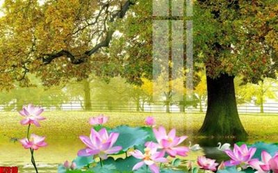 Tải file File tranh gốc in tranh tường nền tổng hợp H7310 (ảnh gốc) file TIFF